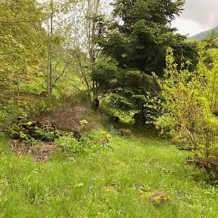 Maison Du Poete Dom wakacyjny *